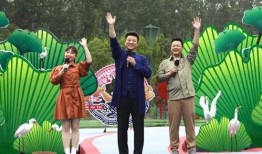 陕西小吃爆料视频大全最新,揭秘视频大全中的地道美食风情