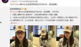 临沂负面新闻爆料事件视频,真相与争议交织